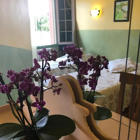 Mas De La Montille