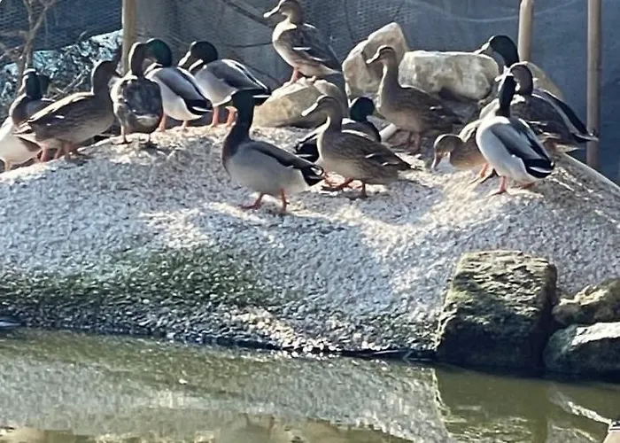 לינה וארוחת בוקר Mas De La Montille 4*